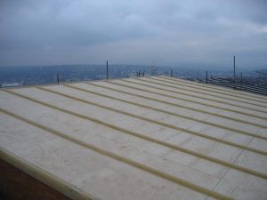 Lead-roll Effect Roof, Nolfolk Park Gleeson Regeneration