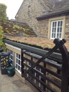 Green Roof Baslow